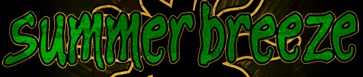 SummerBreeze 2012 GROOT